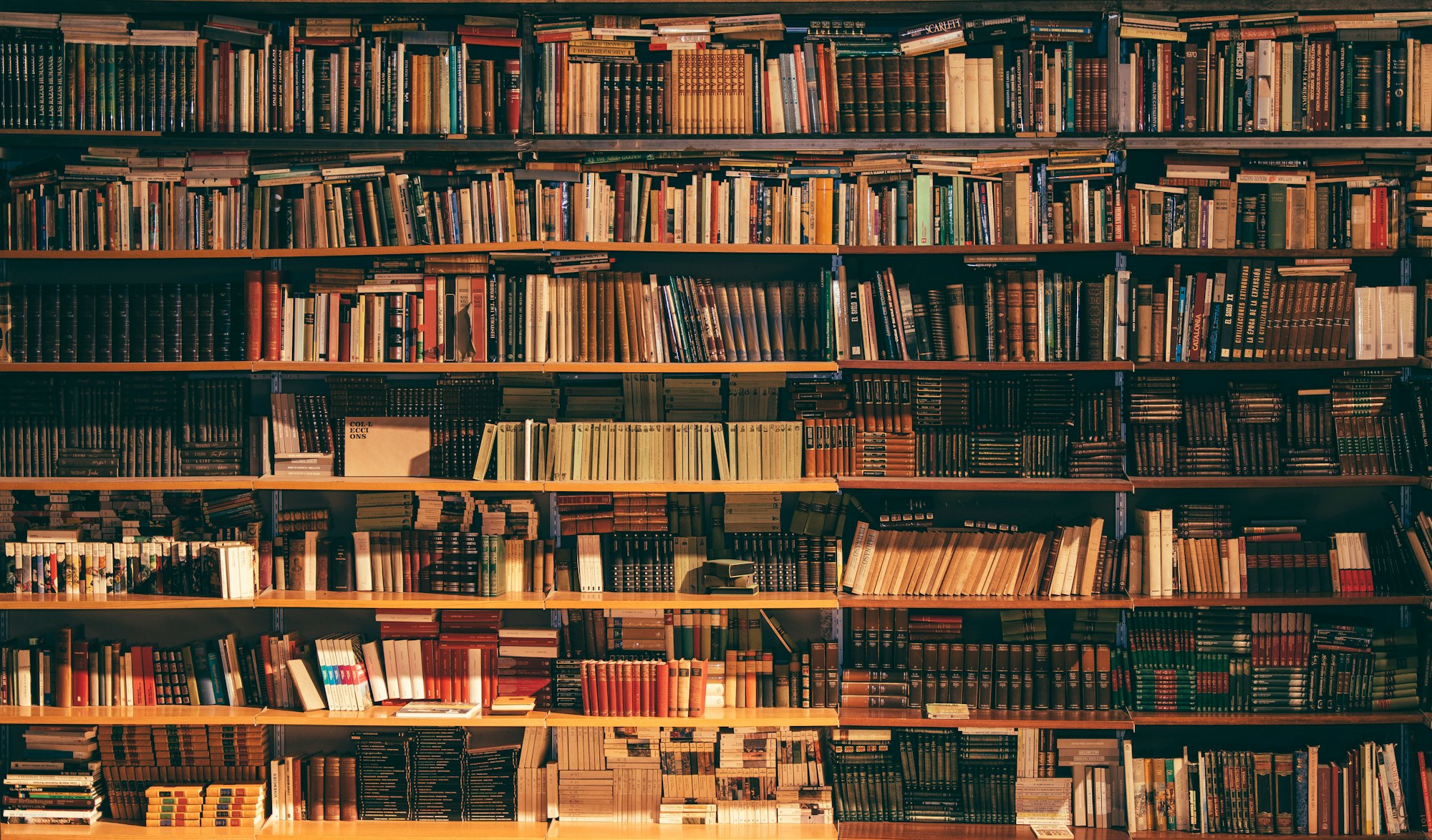 Library Management System